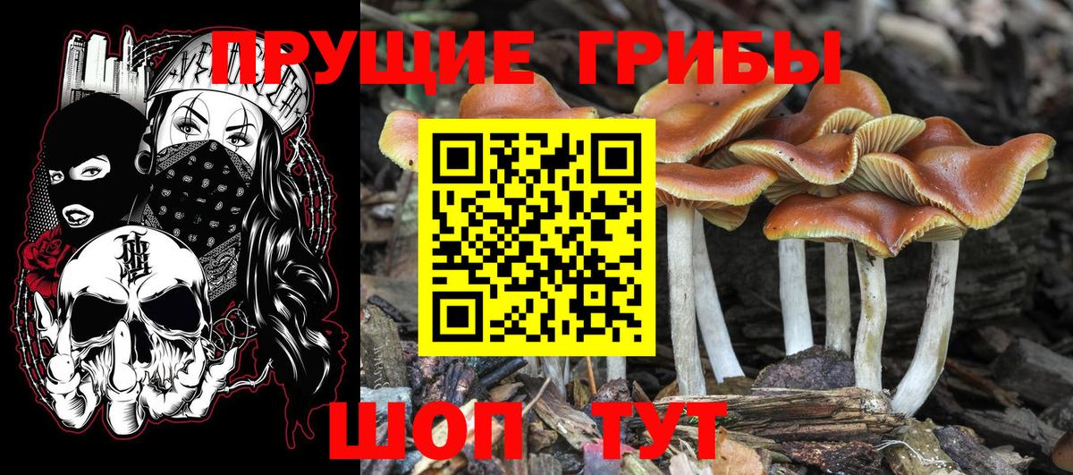 Псилоцибиновые грибы Magic Shrooms Елизово