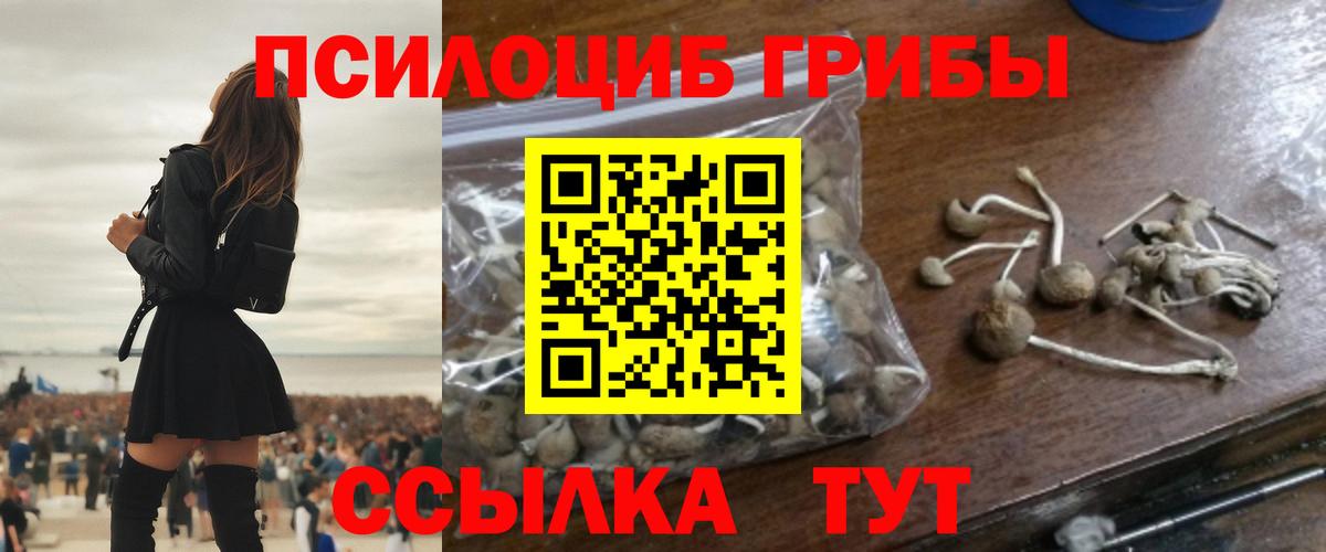 Псилоцибиновые грибы мицелий  Вход с VPN  Елизово  Галлюциногенные грибы Magic Shrooms 
